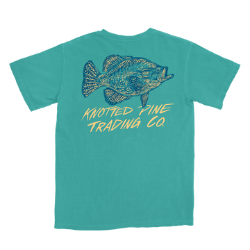 Crappie - Seafoam